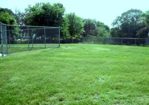 Sunshine animal hospital fenced in exercise yard with green grass.