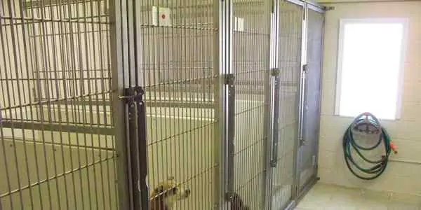 A dog kennel with metal bars and a door.