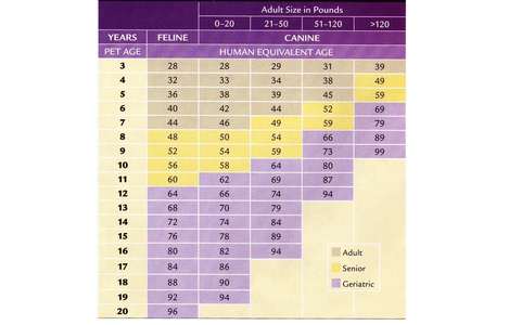 A chart of age and sex in different countries.