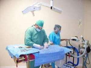 Doctor Fontenot performing surgery while a surgical nurse monitors the patients vital signs.