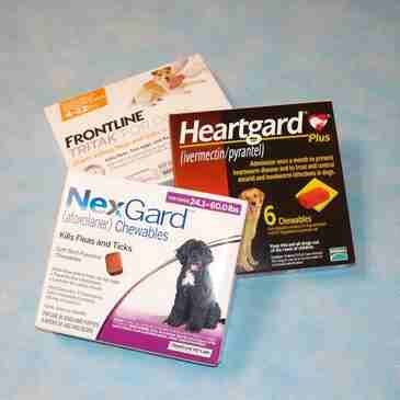 A package of nexgard and heartworm prevention