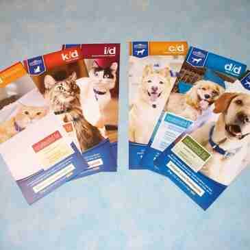 A set of four brochures with different pictures of dogs.